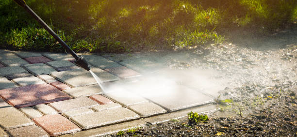 Professional Pressure Washing Services in Rainbow Park, FL